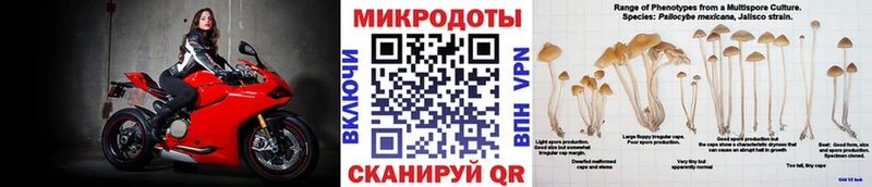 Галлюциногенные грибы прущие грибы  Купить  Сызрань 